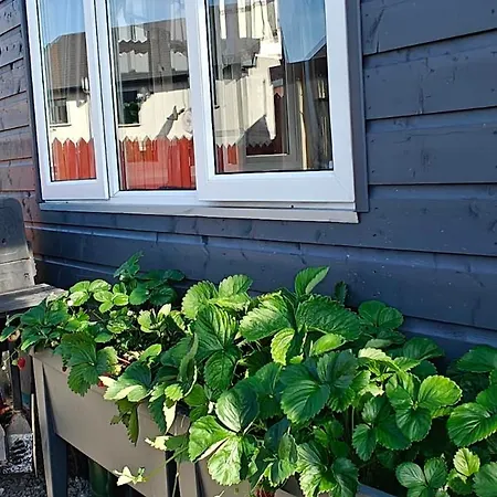 Cozy Bandon Nest Bandon