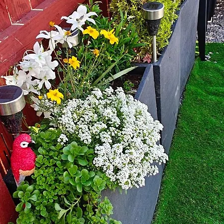 Cozy Bandon Nest * Bandon