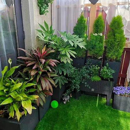 Cozy Nest Lejlighed Bandon