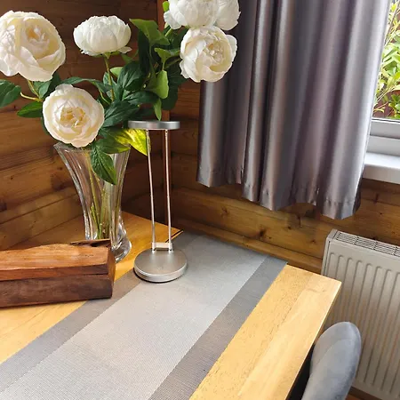 דירה Cozy Nest *