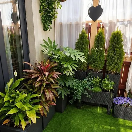 Cozy Nest 班敦