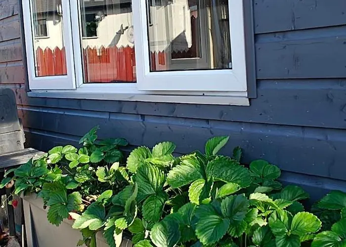 Cozy Nest باندون